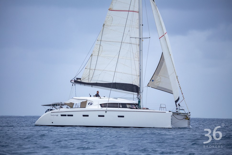 YAEL 24