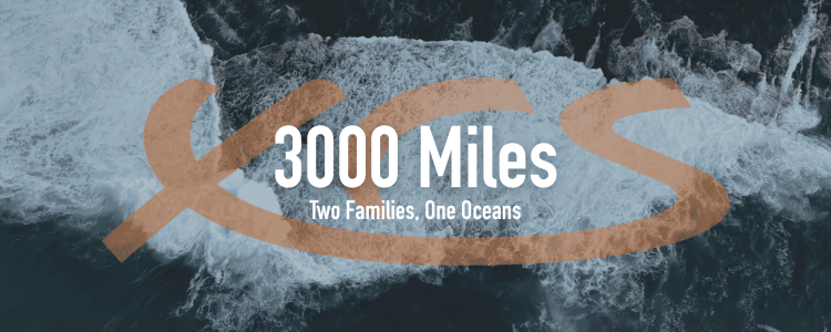 3000 Miles: The Excess Documentary Every Future Cruiser